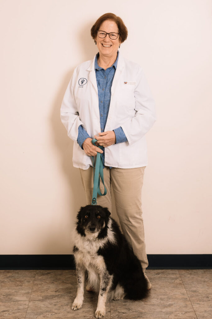 Dr. Joanne Hibbs of Tazewell Pike Animal Clinic.